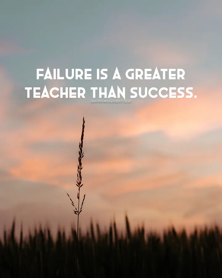 Flaws: Seeds of Growth